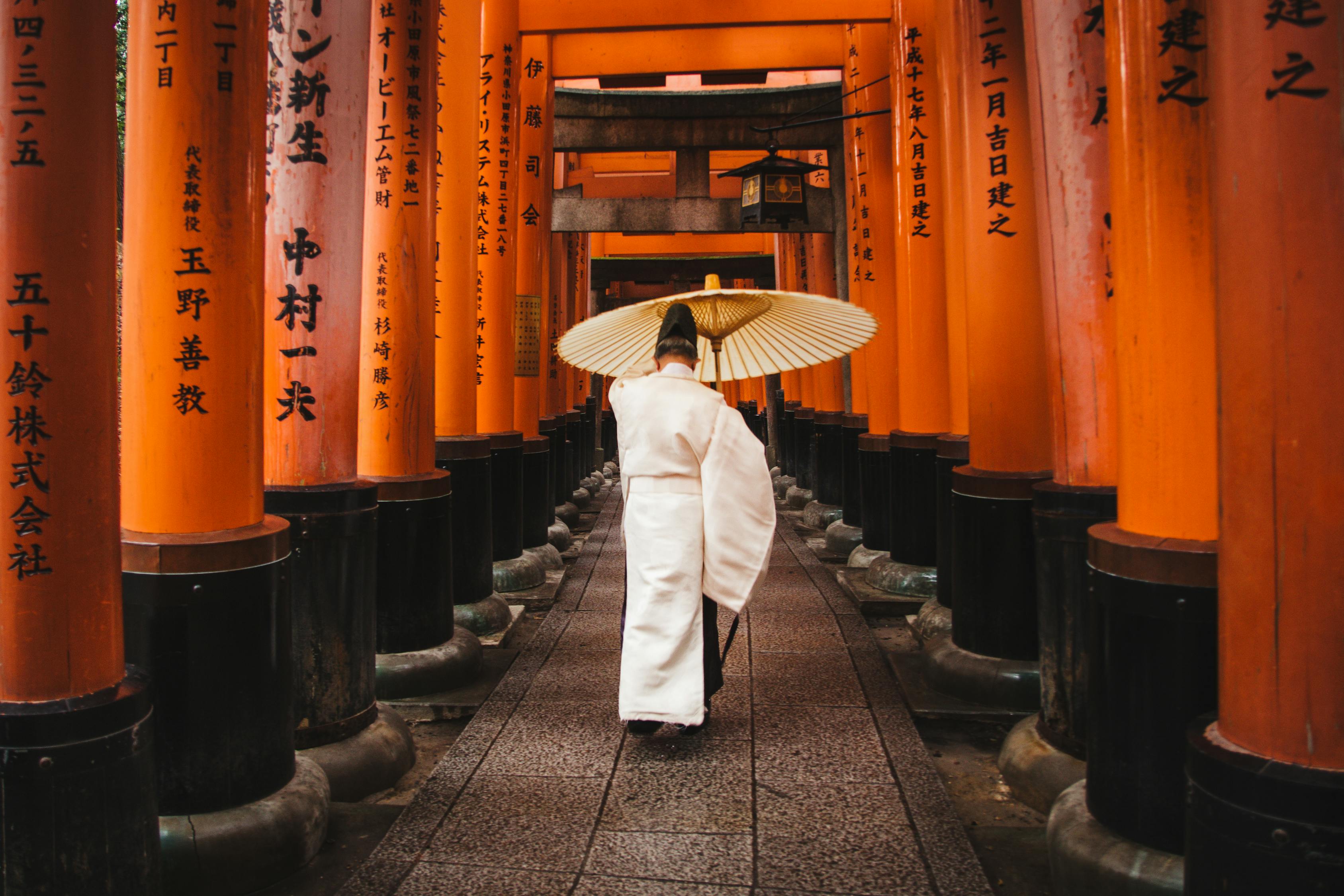 日本岩手发生地震，灾难中的希望与应对