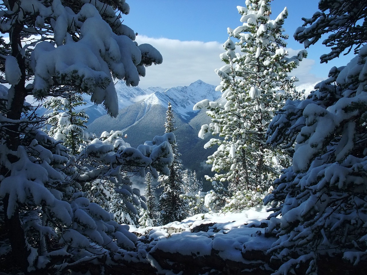 雪中的瑰宝，2010年温哥华冬季奥运会，冰雪世界的璀璨盛宴